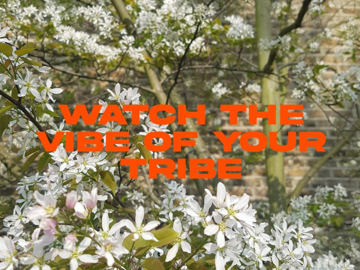 Watch the vibe of your tribe
